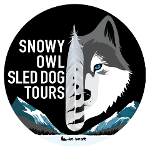 Snowy Owl Tours